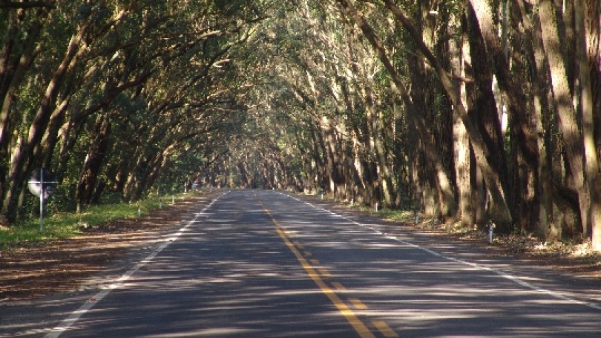 20140124144837max1222265192tunel_verde_02.jpg